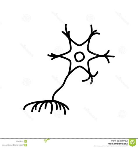 Neuron Icon at Vectorified.com | Collection of Neuron Icon free for personal use