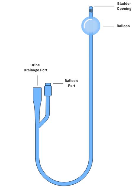 Urinary Catheter Types and Sizes and How to Choose - CompactCath