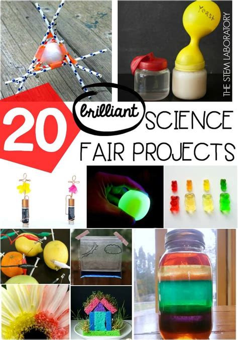 20 Science Fair Projects - The Stem Laboratory