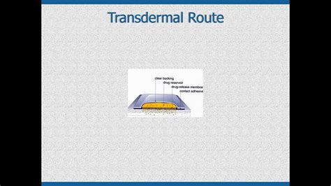 Transdermal Route of Administration - YouTube