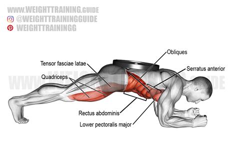 Weighted front plank exercise instructions and video | weighttraining.guide