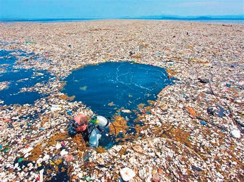 Floating Garbage Patches Grow in the Pacific Ocean - Chile Today