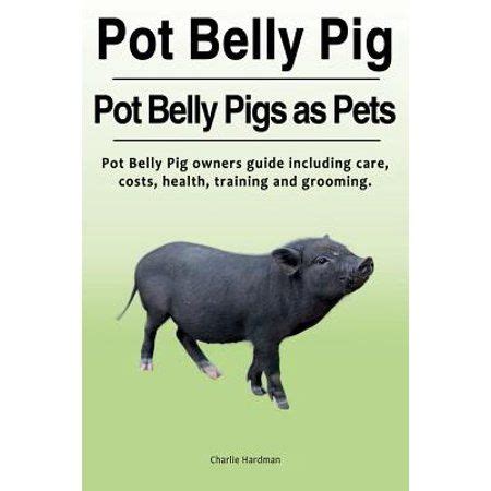 Pot belly pig pot belly pigs as pets pot belly pig owners guide including care costs health ...