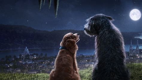 Lady and the Tramp 2019 480p 720p & 1080p WEB-DL x264