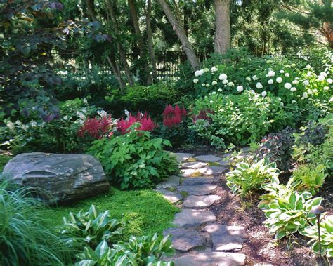 Maple Grove: I love Hostas! and Shade Gardens