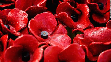 Final Tower of London poppy 'planted' on Armistice Day - CNN.com