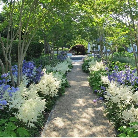 Astilbe Garden Design | Fasci Garden