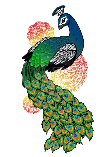 Colourful Peacock Drawing - ClipArt Best