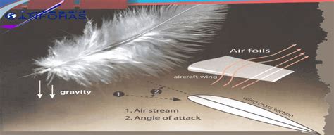 Aerodynamic basics If you’re going to fly you need to understand