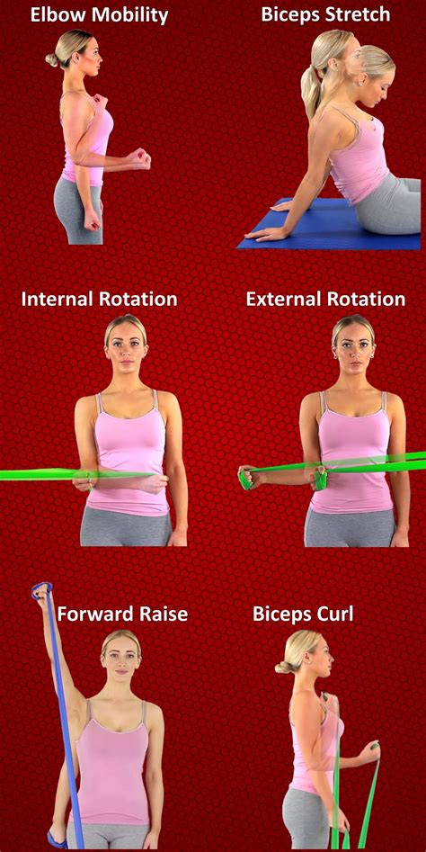 Exercises For Bicep Tendonitis Bicep Tendonitis Rehabilitation Exercises | Images and Photos finder