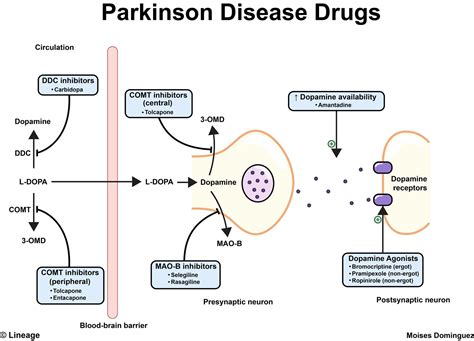 Parkinson Disease - Neurology - Medbullets Step 2/3