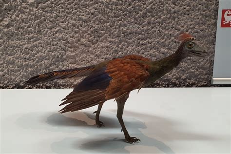 Feathered Dinosaurs: Evolution and Examples ️ Postposmus | postposm