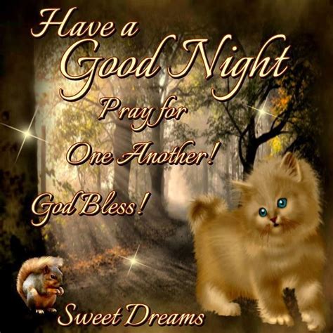 Have A Good Night Sweet Dreams Pictures, Photos, and Images for Facebook, Tumblr, Pinterest, and ...