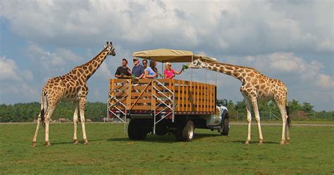 Animal Attraction: Behind the Scenes at African Lion Safari - African Lion Safari