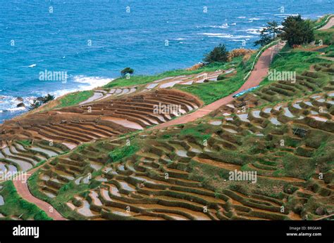 Senmaida, thousand rice fields, terraced rice paddies, near Wajima Stock Photo, Royalty Free ...