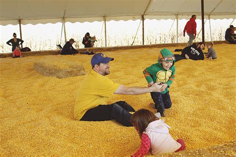 Corn Maze and Other Fall Fun! | Dino and Bunnies