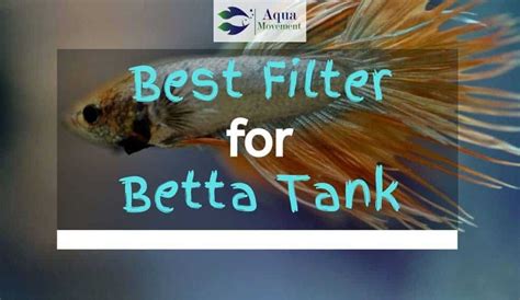 7 Best Filter For Betta Tank In 2023 | Aqua Movement