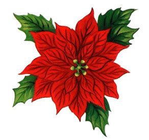 Christmas Flowers Clip Art - ClipArt Best