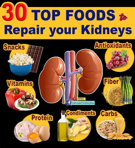 30 FOODS to REPAIR the KIDNEYS | the Healthiest Foods on the Planet | Kidney diet recipes ...