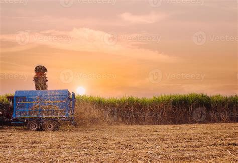 sugar cane harvesting machine working 6754551 Stock Photo at Vecteezy