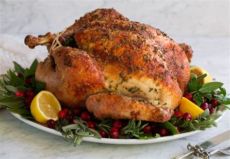 34+ The Best Turkey Thanksgiving Recipe Ever Images - Backpacker News