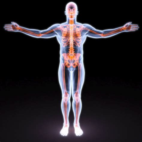 Inflammation Treatment in Charlotte - Holistic Wellness Center