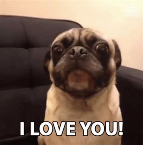 Dog I Love You GIF - Dog ILoveYou Cute - Discover & Share GIFs