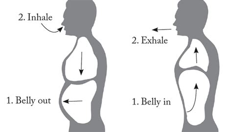 How to Do Belly Breathing Like a Pro | Yuri Elkaim