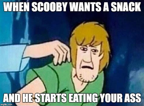 Scooby Doo Shaggy Memes - Imgflip