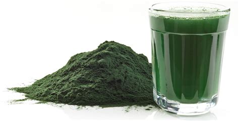 Spirulina & Chlorella Powder - Multi-Cellular Algae (Protein, Vitamins) | Ancient Purity