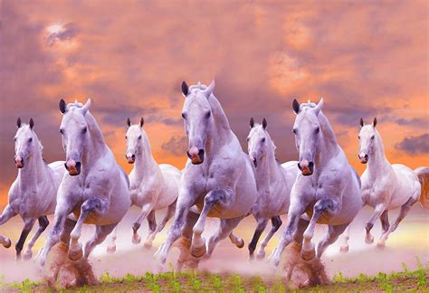 30+ Seven Horses Wallpaper Gif