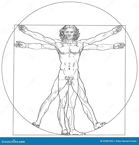 Vitruvian Man Leonardo Da Vinci Editorial Stock Image - Illustration of geometry, genital: 32987994