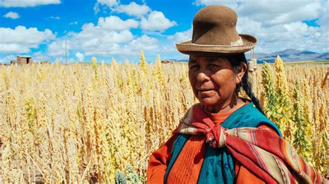 Quinoa Brings Riches to the Andes - Our World