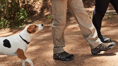 How to Choose the Best Dog Walking Gear | Expert Advice | Inside the Outdoors | Mountain ...