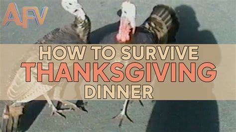 Watch these hilarious tips on how to survive Thanksgiving dinner - ABC7 San Francisco