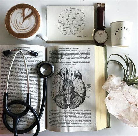 Pin by aurélie andré on divers et variés | Medical school motivation, Medical student motivation ...