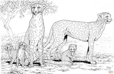 Cheetah Printable Coloring Pages - Coloring Home