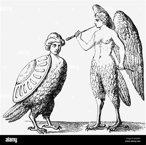 harpies, Greek mythical creatures (half woman, half bird), wood Stock Photo, Royalty Free Image ...