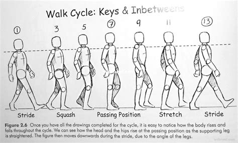 Walk Cycle Animation Walking 5