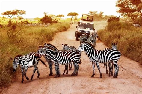 Best Places to Visit on a Madagascar Safari Tour with the help of African safaris Tripadvisor ...