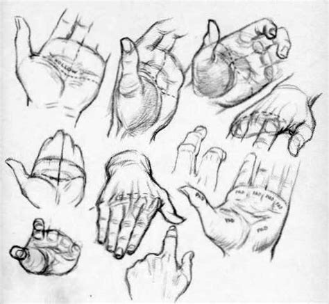 How to Draw Hands – Reference Sheets and Guides to Drawing Hands – How to Draw Step by Step ...