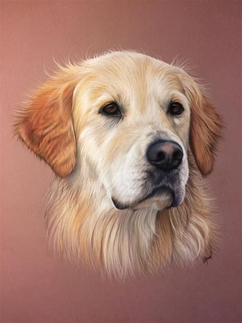 ️Colorful Golden Retriever Painting Free Download| Goodimg.co