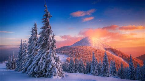 1920x1080 Snowy Pine Trees And Mountains 4k Laptop Full HD 1080P ,HD 4k ...