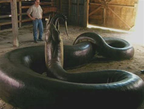 Titanoboa returns! Smithsonia recreates world's biggest snake - a 48-foot monster which ruled ...