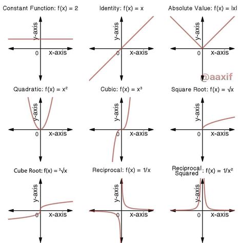 Different Types of Polynomial Function and their Graph | Graphing linear equations, Polynomial ...