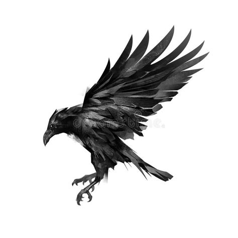 Image result for raven flying drawing | Raven flying, Crow tattoo, Raven tattoo