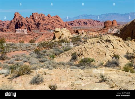 Valley of Fire, Nevada. White Domes Trail Stock Photo - Alamy