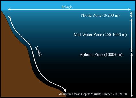 Ocean Zones Diagram Format