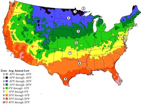 Here is the BEST Time to Plant Pumpkins in Hardiness Zone 4 (2023) - The Gardening Dad