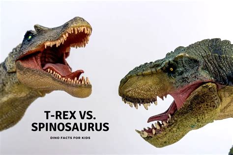 T-Rex Vs. Spinosaurus - Dinosaur Facts For Kids